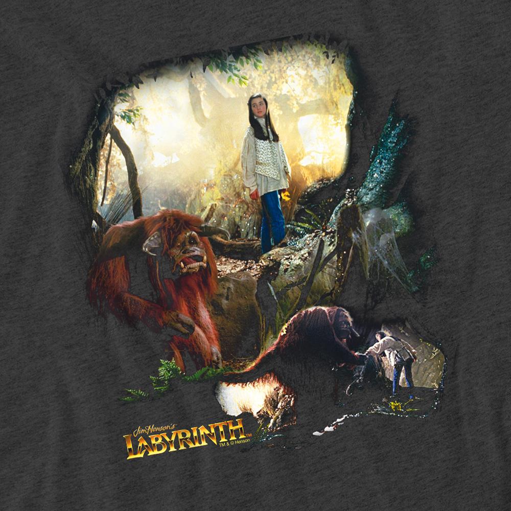 Charcoal - Side - Labyrinth Unisex Adult Sarah & Ludo Heather T-Shirt
