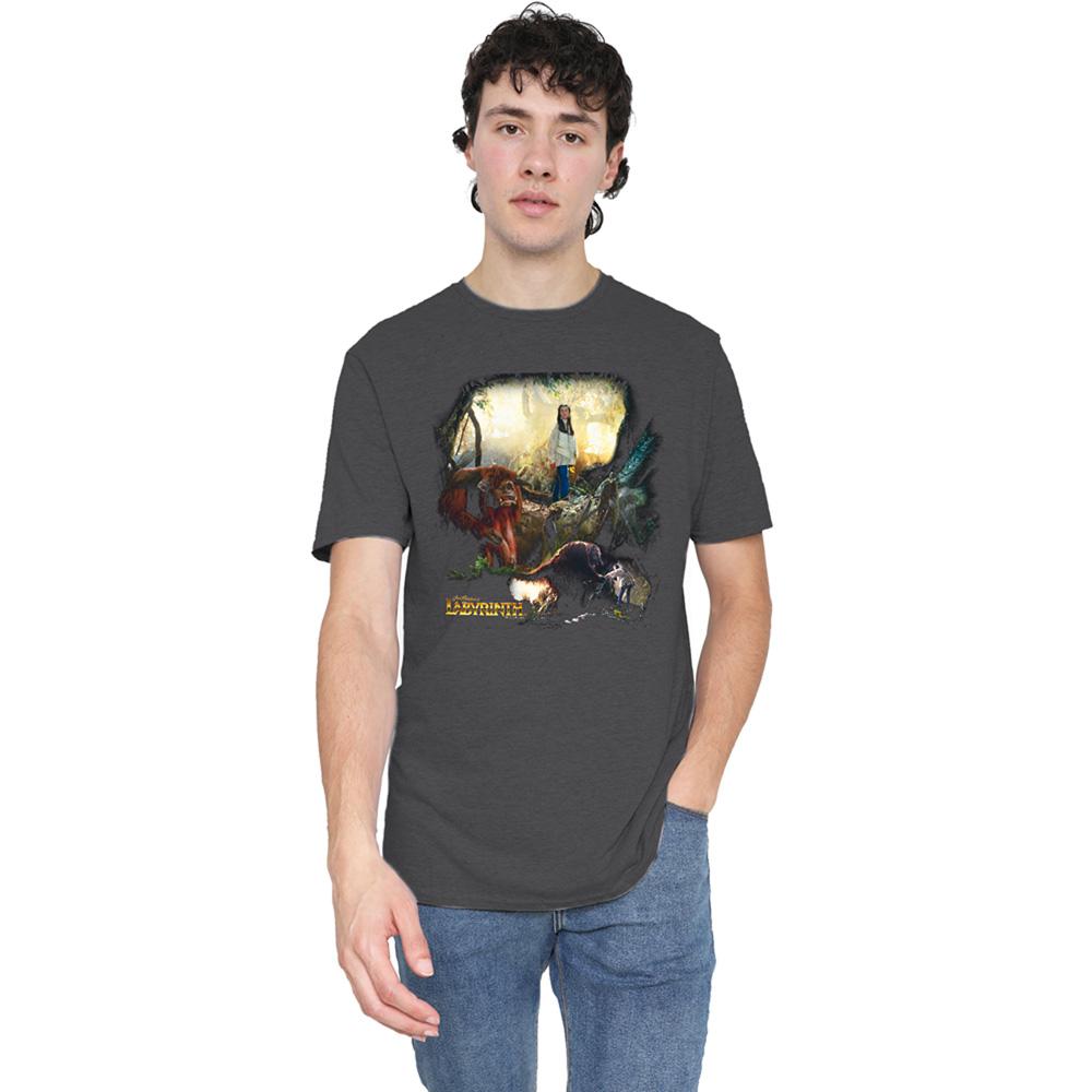 Charcoal - Lifestyle - Labyrinth Unisex Adult Sarah & Ludo Heather T-Shirt