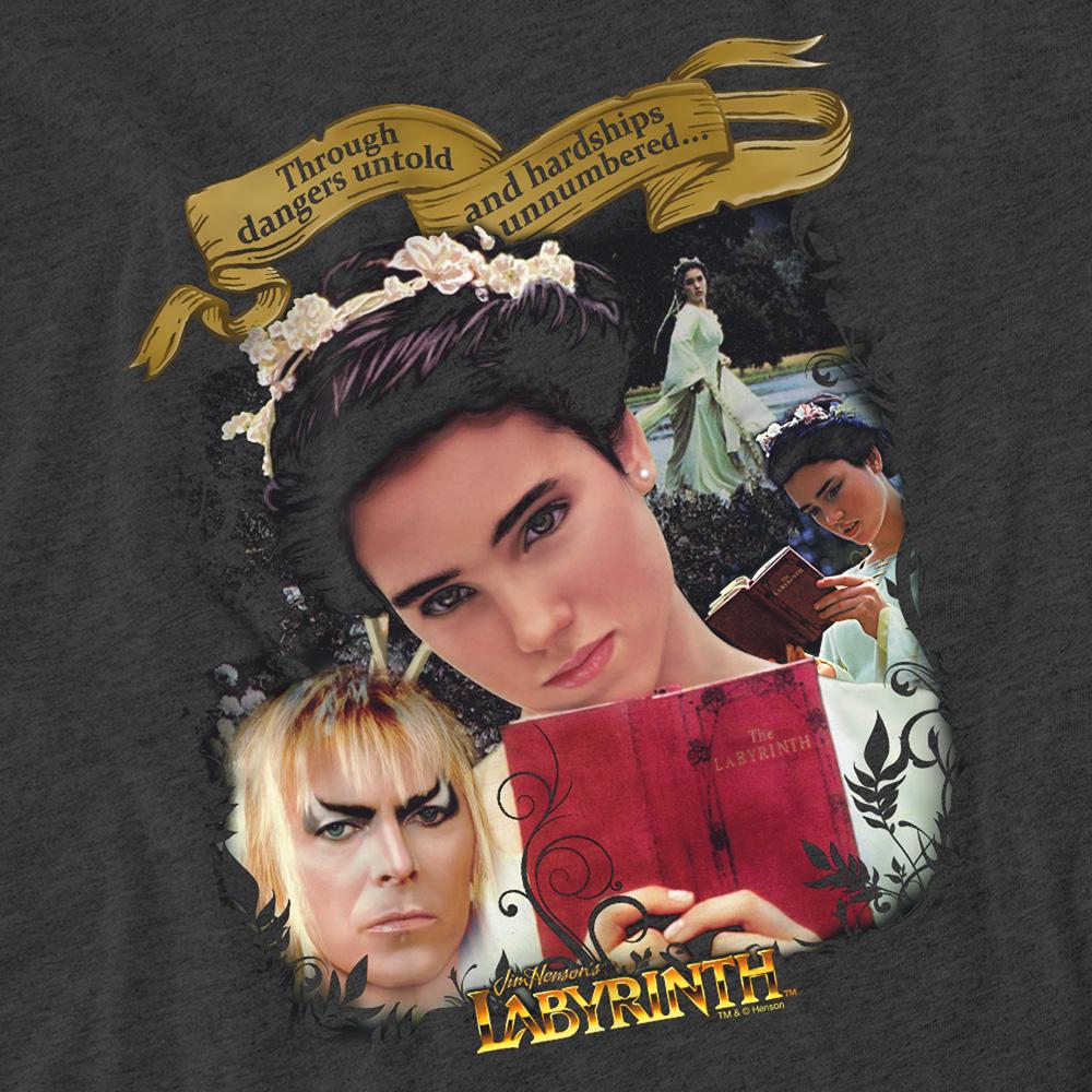 Charcoal - Side - Labyrinth Unisex Adult Dangers Untold Heather T-Shirt