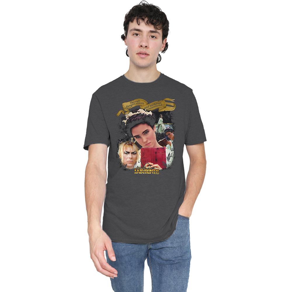 Charcoal - Lifestyle - Labyrinth Unisex Adult Dangers Untold Heather T-Shirt