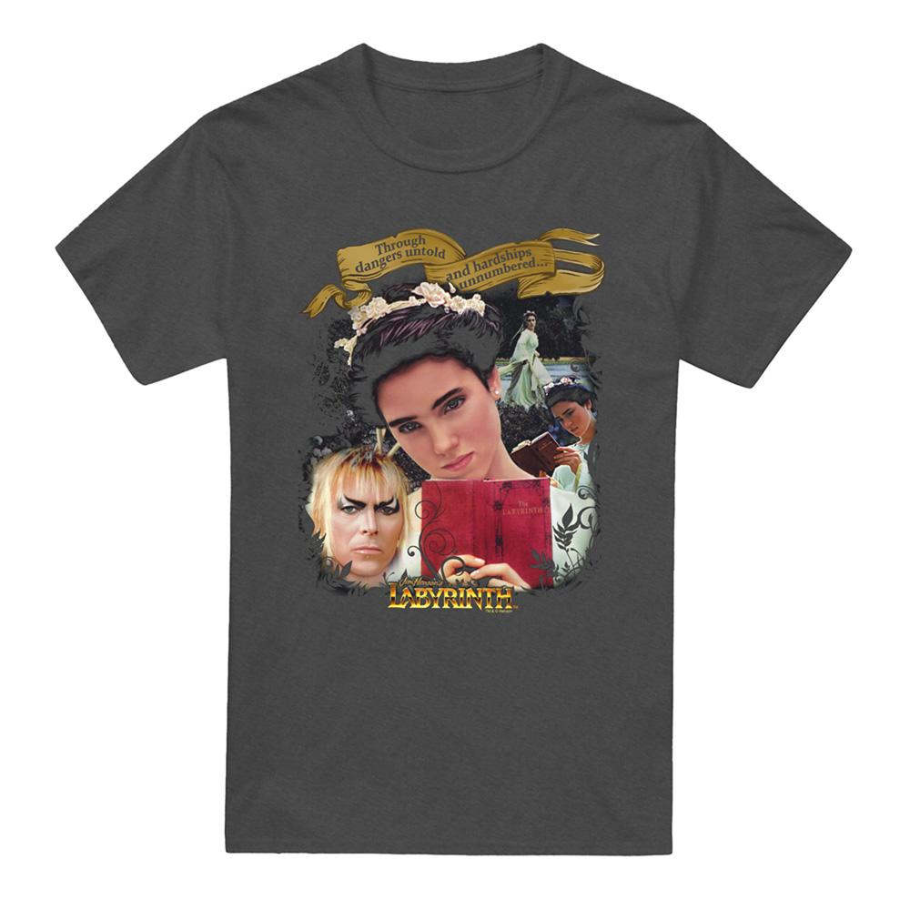 Charcoal - Front - Labyrinth Unisex Adult Dangers Untold Heather T-Shirt