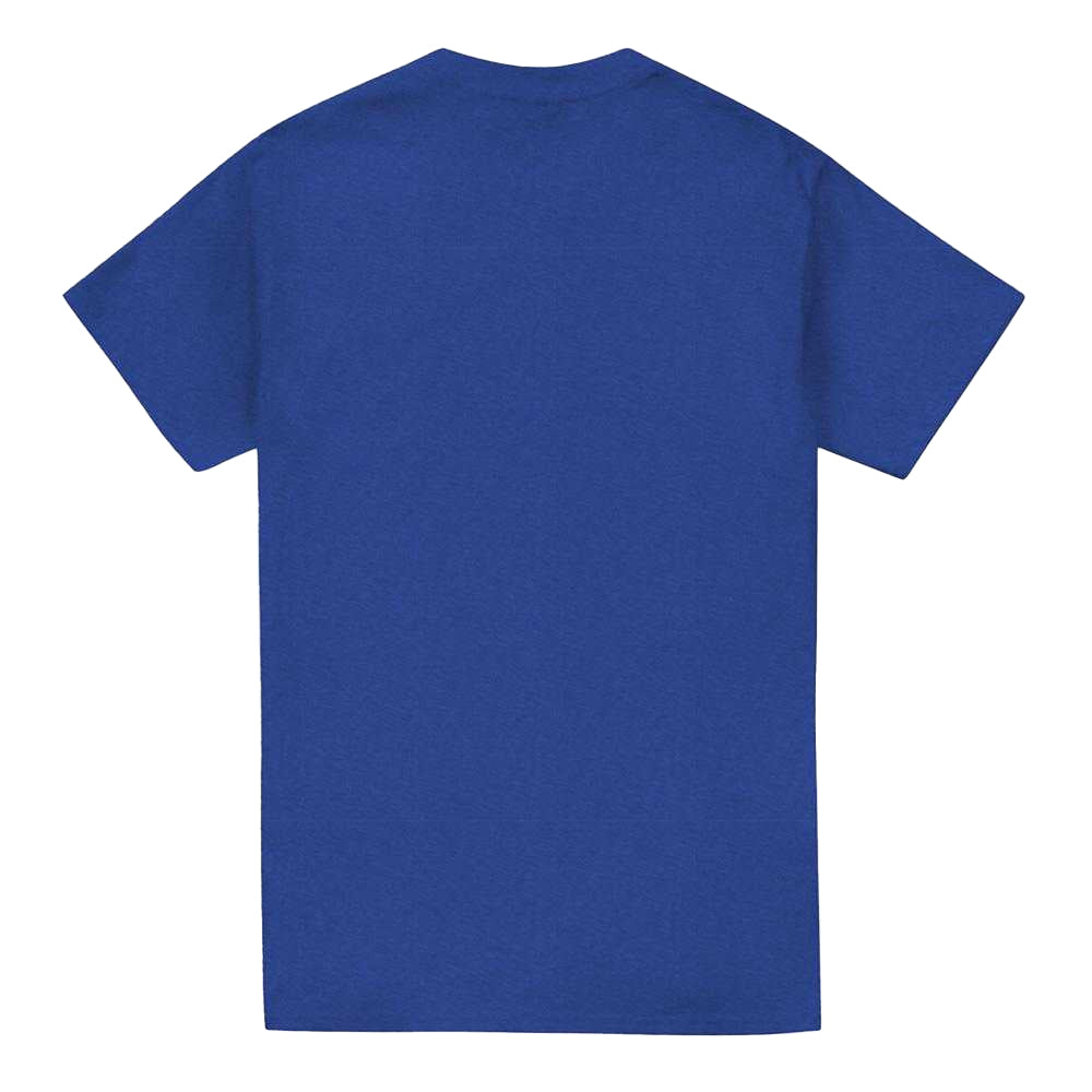 Royal Blue - Back - Carroll Shelby Unisex Adult Daytona Coupe Circle Logo Heather T-Shirt
