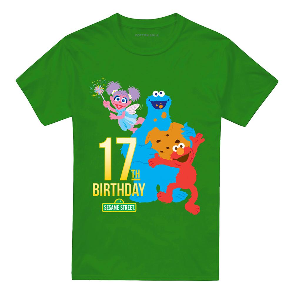 Kelly Green - Front - Sesame Street Unisex Adult 17th Birthday T-Shirt