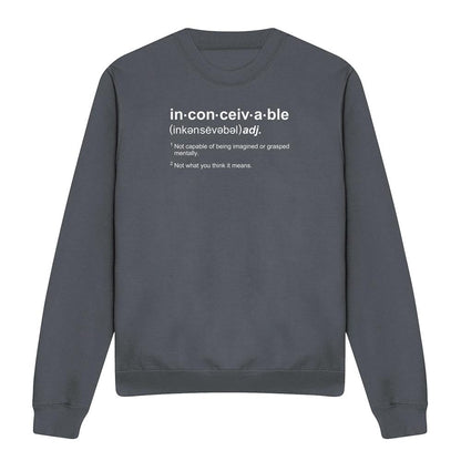 Charcoal - Front - The Princess Bride Unisex Adult Definition Sweatshirt
