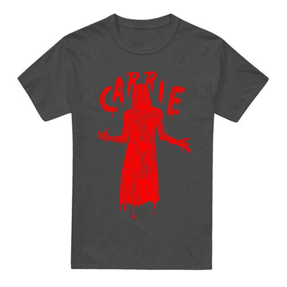 Charcoal - Front - Carrie Unisex Adult Silhouette Heather T-Shirt