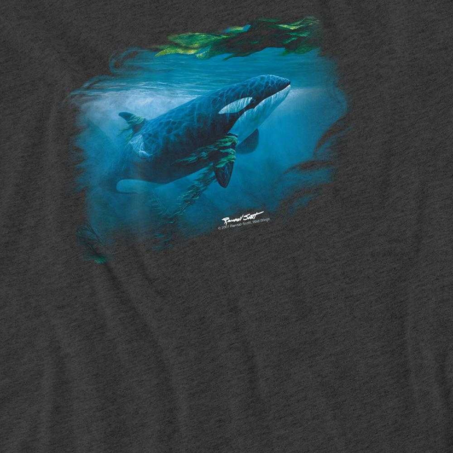 Charcoal - Side - Wildlife Unisex Adult Pursuit Thru The Kelp Orca Heather T-Shirt