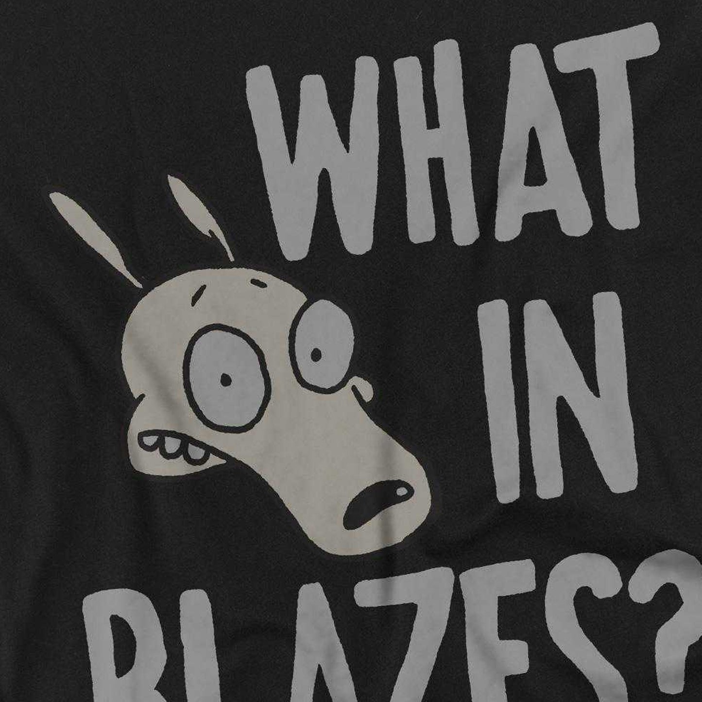 Charcoal - Back - Rocko´s Modern Life Unisex Adult What In Blazes? T-Shirt