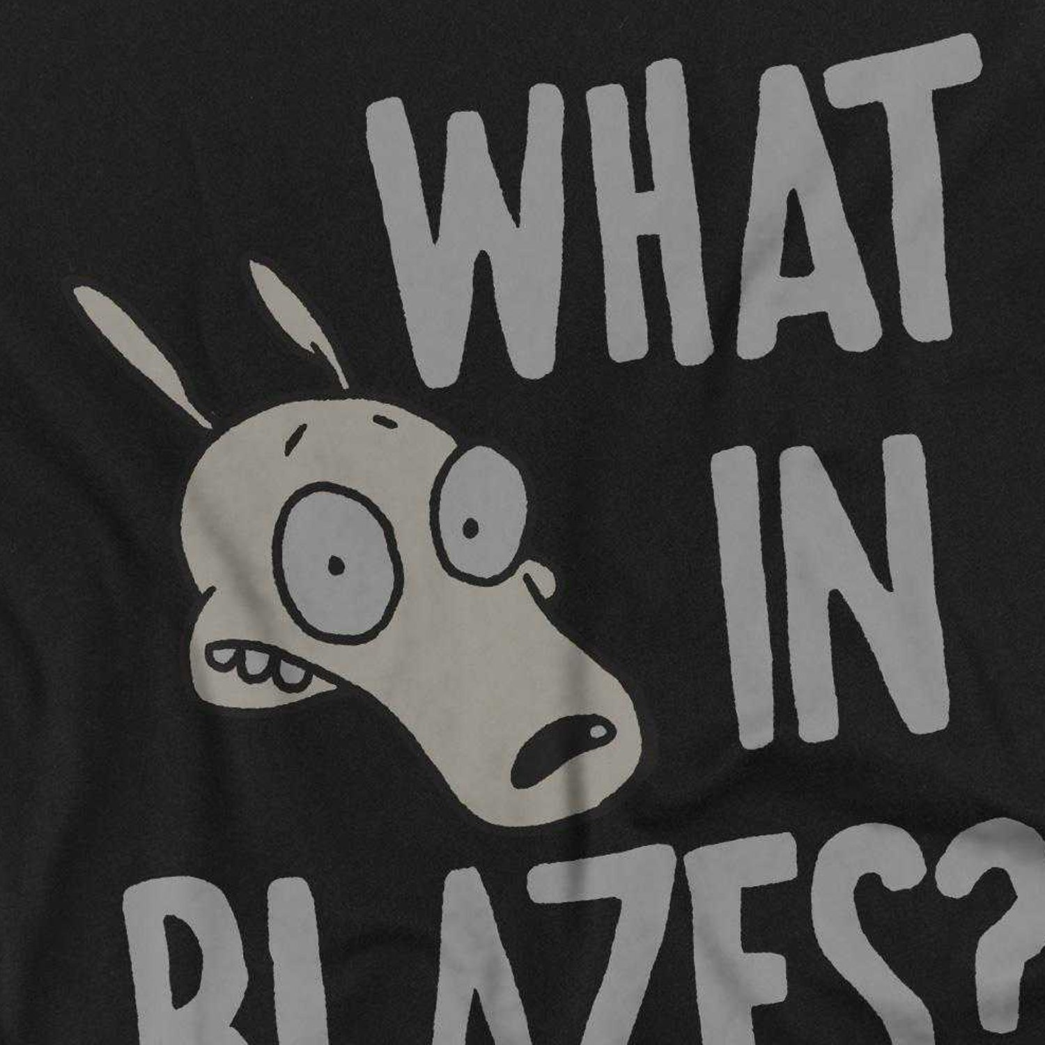 Charcoal - Back - Rocko´s Modern Life Unisex Adult What In Blazes? T-Shirt
