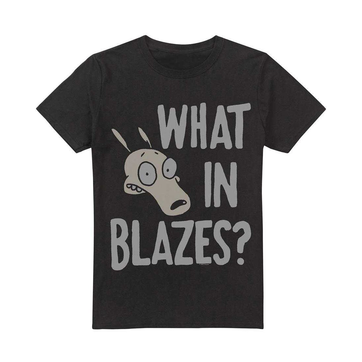 Charcoal - Front - Rocko´s Modern Life Unisex Adult What In Blazes? T-Shirt