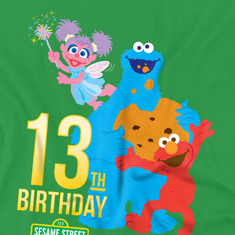Kelly Green - Side - Sesame Street Unisex Adult 13th Birthday T-Shirt