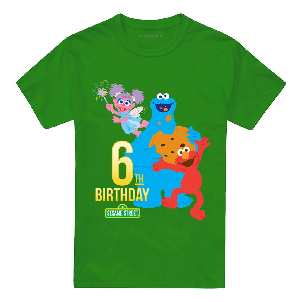 Kelly Green - Front - Sesame Street Unisex Adult 6th Birthday T-Shirt