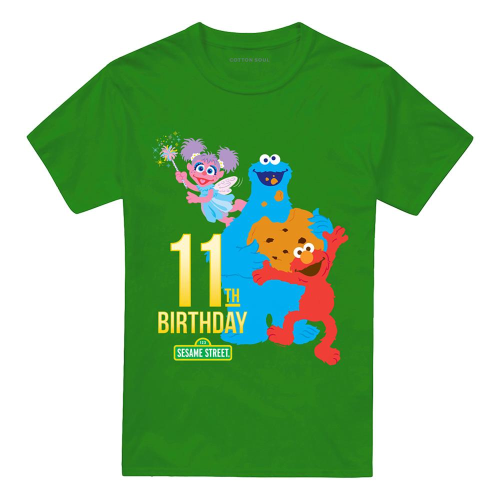 Kelly Green - Front - Sesame Street Unisex Adult 11th Birthday T-Shirt