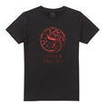 Black - Front - House Of The Dragon Mens Fire & Blood T-Shirt