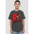 Charcoal - Lifestyle - Iron Man Childrens-Kids 6th Birthday T-Shirt