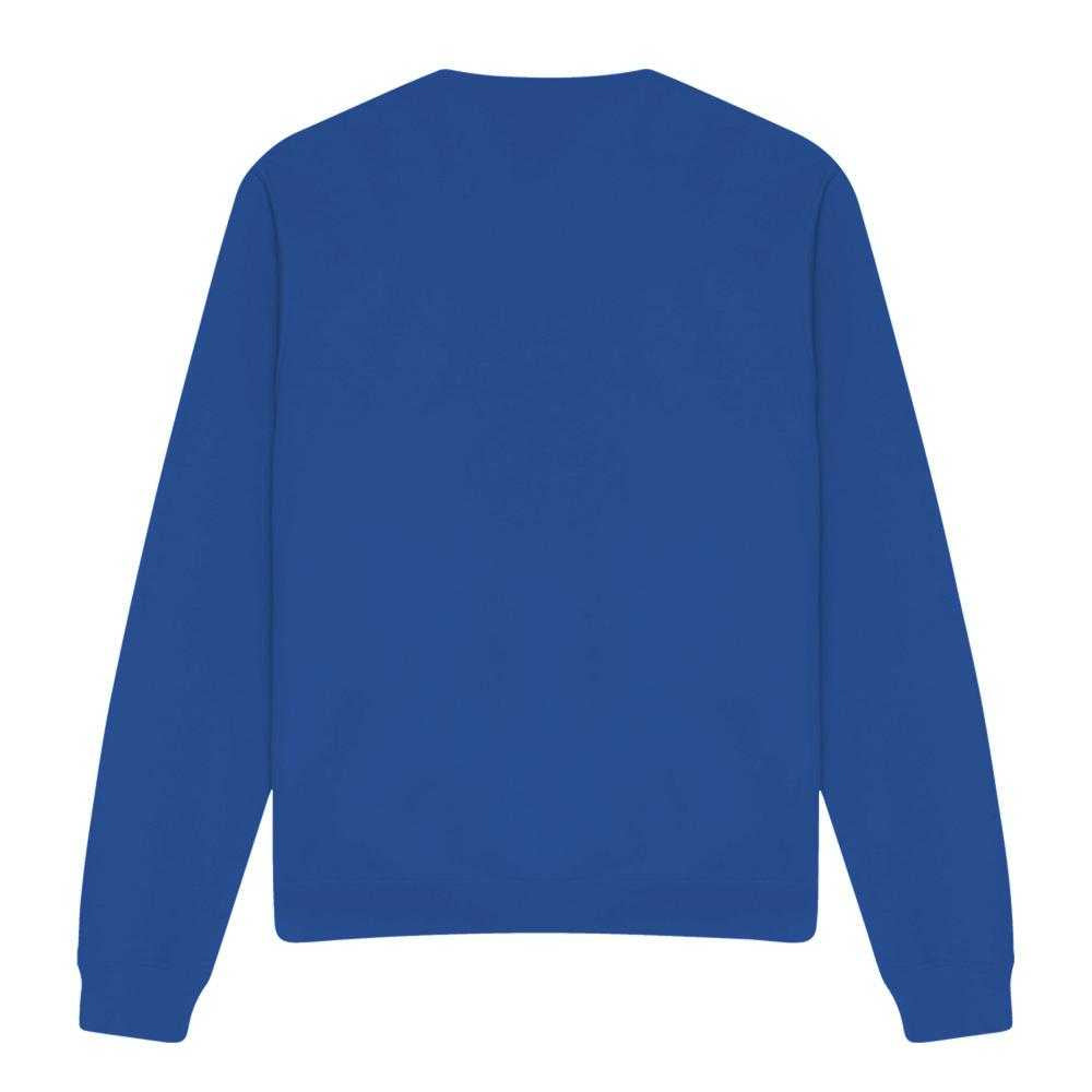 Royal Blue - Back - Star Wars Unisex Adult Dadalorian Sweatshirt