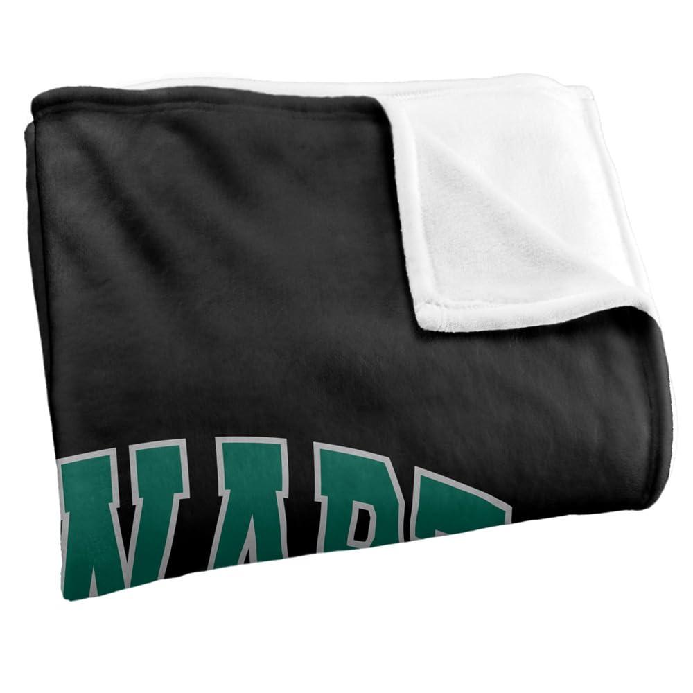 Multicoloured - Back - Harry Potter Slytherin Crest Throw