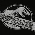 Black - Side - Jurassic Park Womens-Ladies Chinese Logo T-Shirt