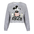 Heather Grey-Black - Front - Disney Womens-Ladies Mickey Mouse Year Crop Sweatshirt