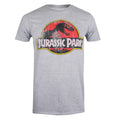 Sports Grey - Front - Jurassic Park Mens Distressed Logo Cotton T-Shirt