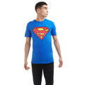 Royal Blue-Red - Lifestyle - Superman Mens Logo Cotton T-Shirt