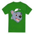 Kelly Green - Front - Paw Patrol Mens Grin Rocky T-Shirt