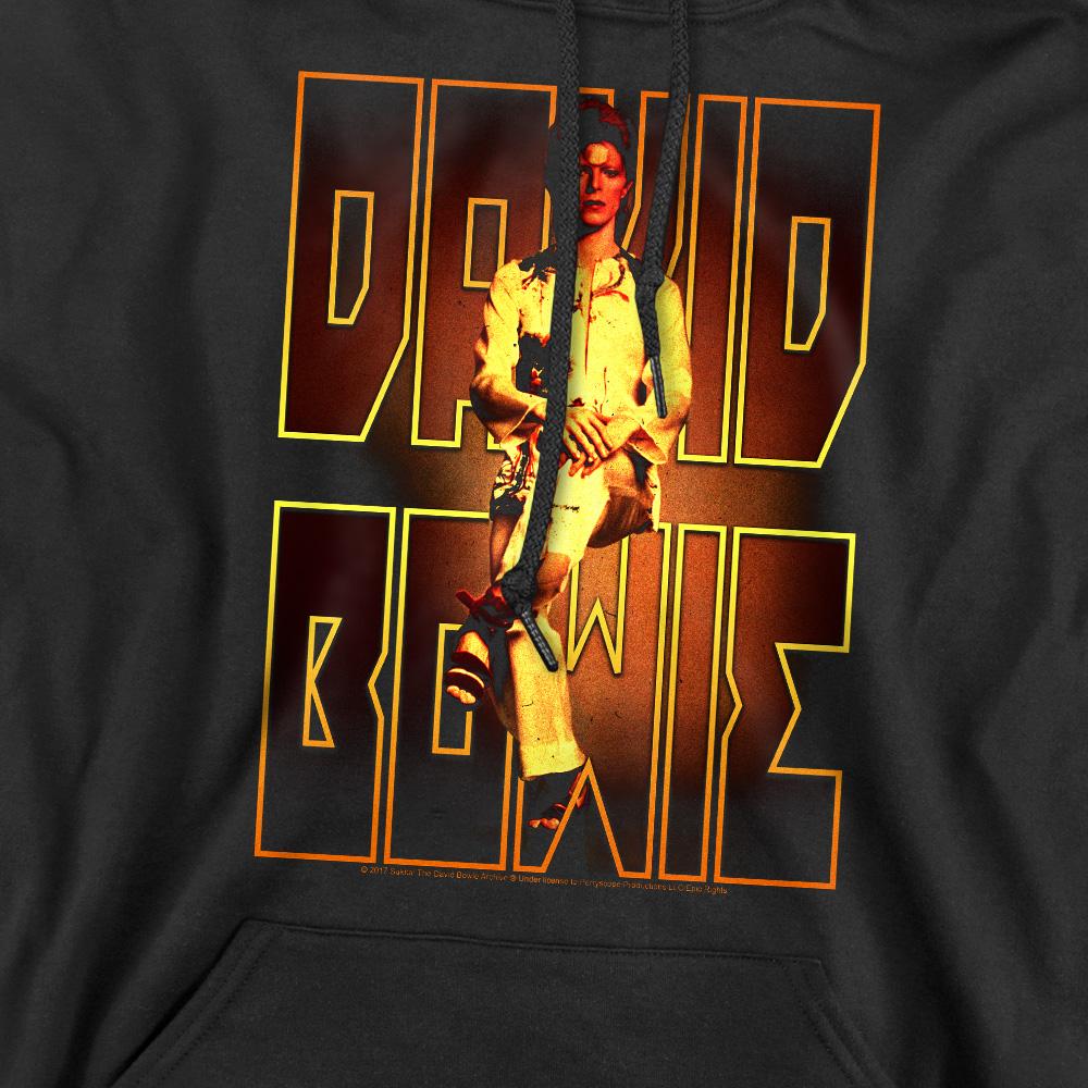 Black - Pack Shot - David Bowie Mens Perched Hoodie