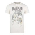 Natural - Front - Batman Mens Batman And Robin Vintage T-Shirt