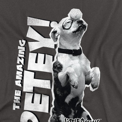Charcoal - Back - The Little Rascals Unisex Adult Amazing Petey T-Shirt