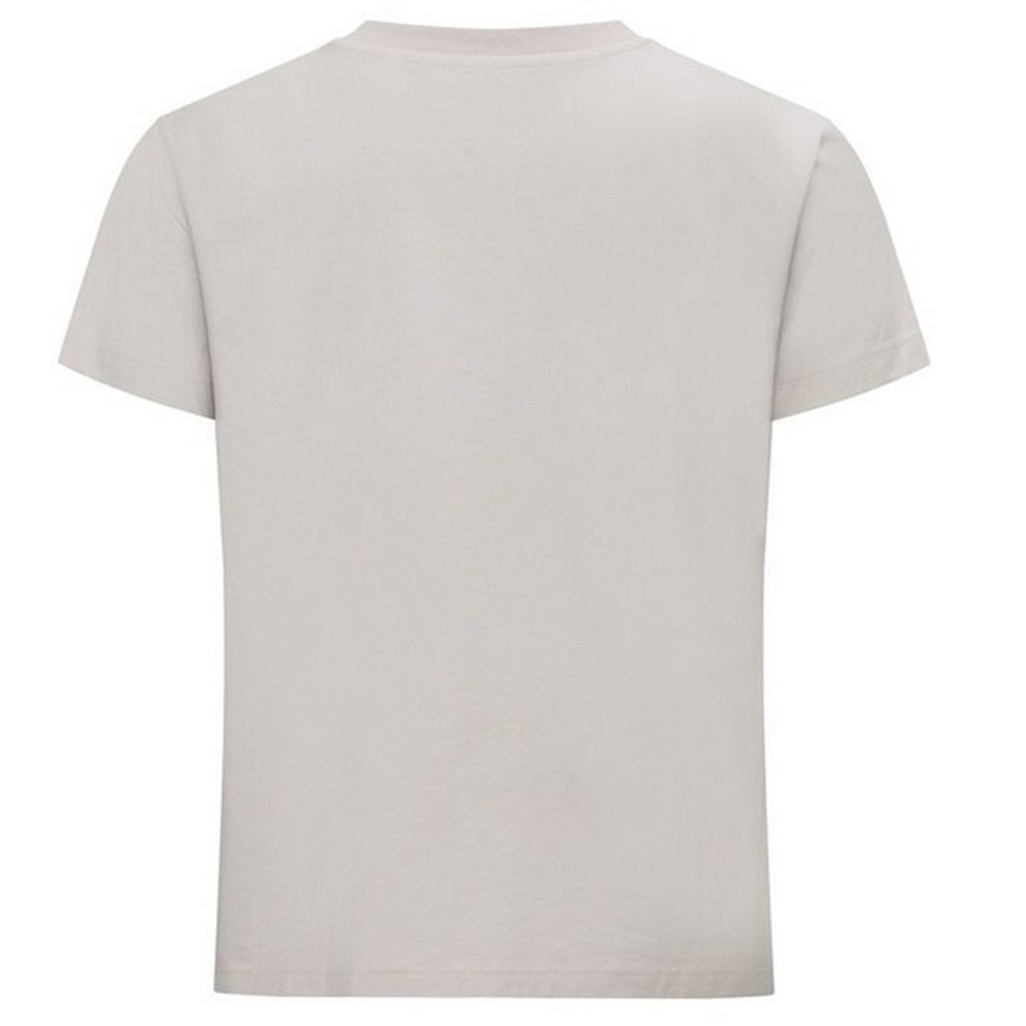 Stone - Back - Clique Unisex Adult Oversized T-Shirt
