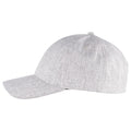 Ash - Lifestyle - Clique Unisex Adult Melange Cap