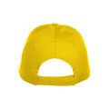 Lemon - Back - Clique Unisex Adult Texas Cap