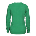 Fresh Green - Back - Printer Womens-Ladies Forehand Knitted Sweatshirt
