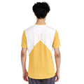 Calm Ash - Back - Craft Mens Pro Hypervent Short-Sleeved T-Shirt
