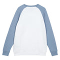 White-Allure - Back - Umbro Mens Core Raglan Sweatshirt