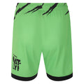 Green-Black - Back - Umbro Childrens-Kids 23-24 Forest Green Rovers FC Home Shorts
