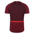 Tibetan Red-Zinfandel-Flame Scarlet - Back - Umbro Childrens-Kids 23-24 England Rugby Gym T-Shirt