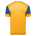 Yellow-Royal Blue - Back - Umbro Childrens-Kids Vier Jersey