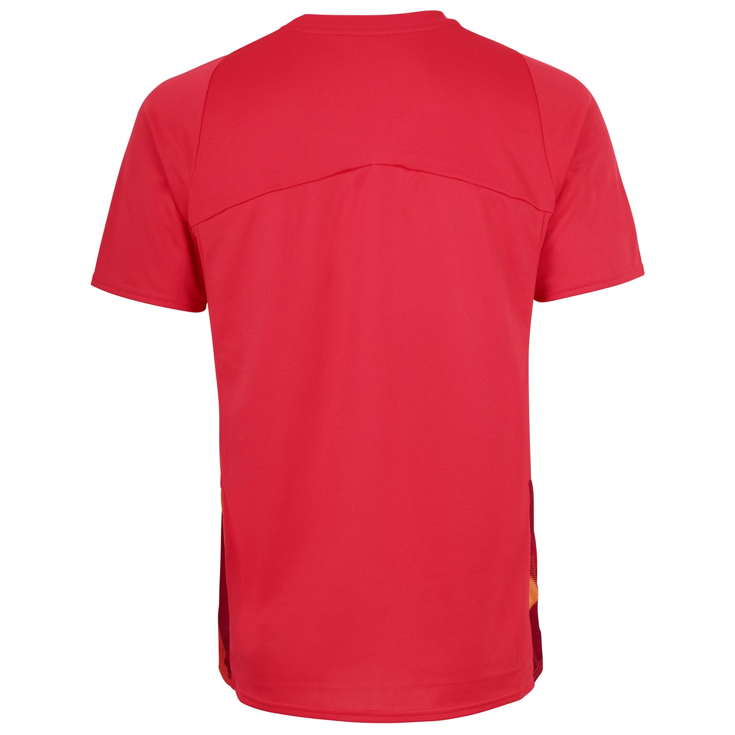 Bittersweet-Jester Red - Back - Brentford FC Mens 22-23 Umbro Training Jersey