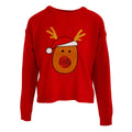Scarlet - Front - Brave Soul Womens-Ladies Have A Very Merry Christmas Jumper
