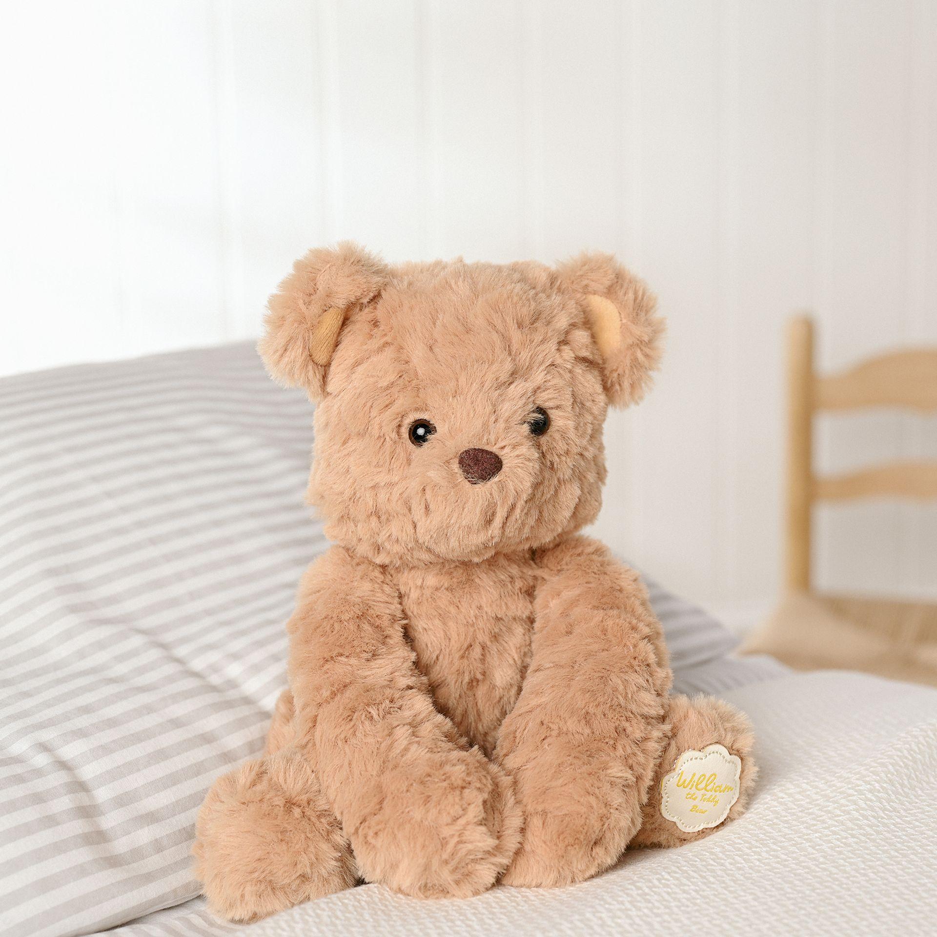 Brown - Close up - William The Plush Sitting Brown Teddy Bear 22 cm