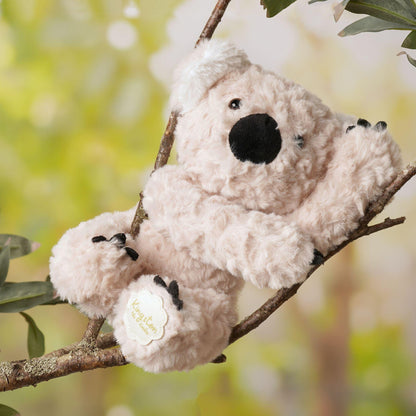 Light brown - Back - Kingston The Plush Sitting Light Brown Koala Bear 22 cm