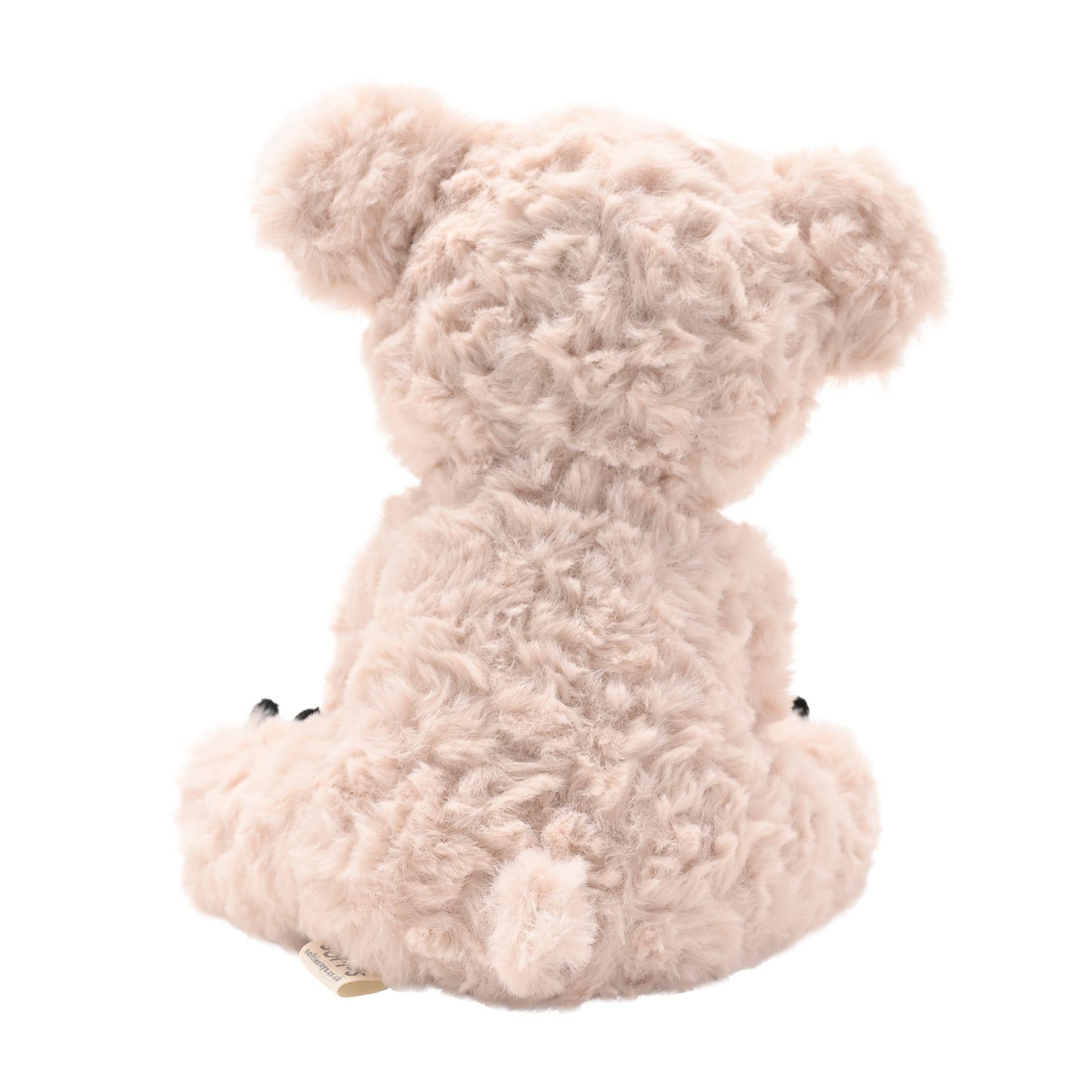 Light brown - Lifestyle - Kingston The Plush Sitting Light Brown Koala Bear 22 cm
