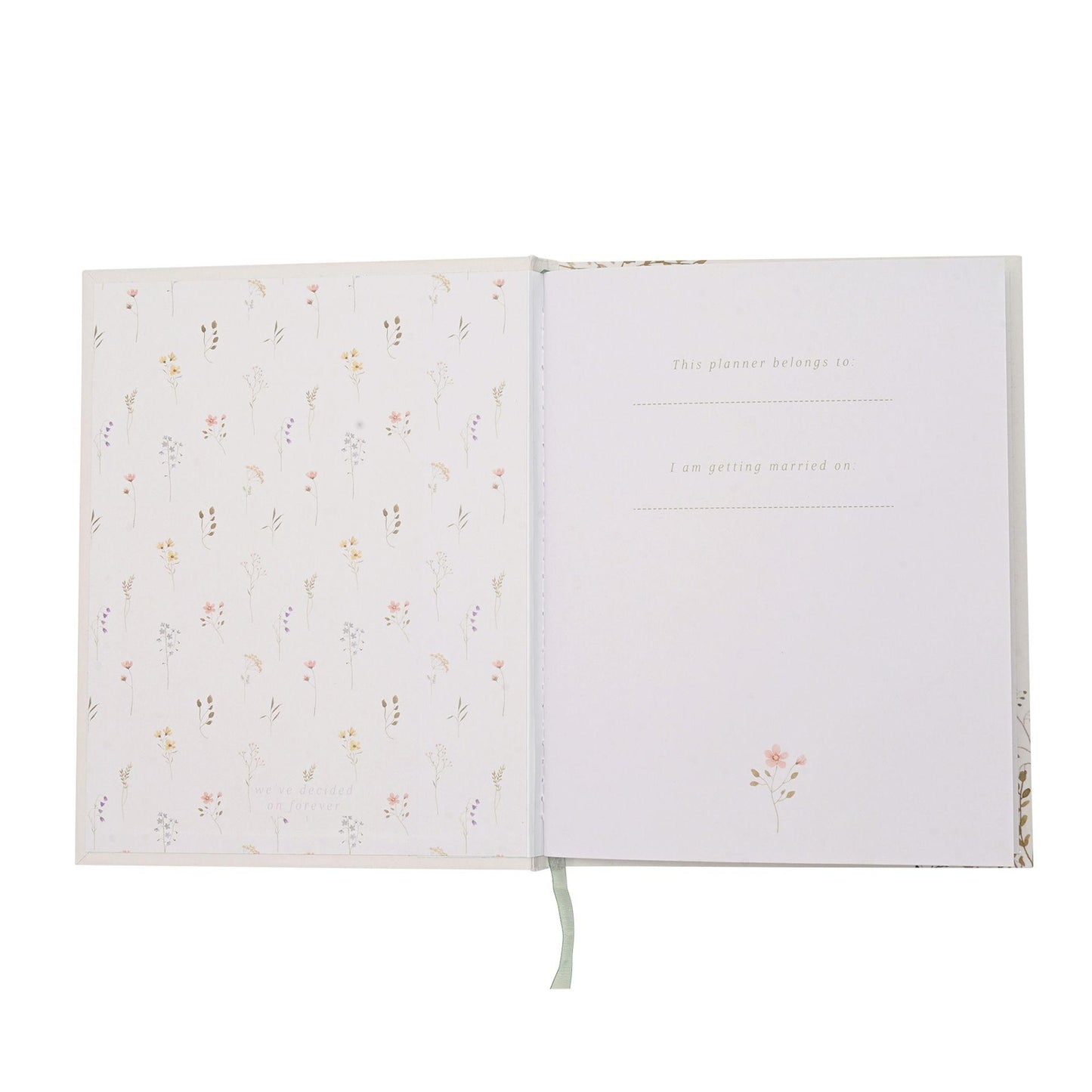 Multicoloured - Pack Shot - Celebrations Womens-Ladies Love Story Wildflower Garter
