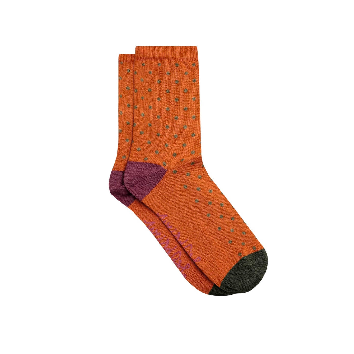 Brick Orange - Lifestyle - Weird Fish Womens-Ladies Parade Patterned Socks (Pack of 3)