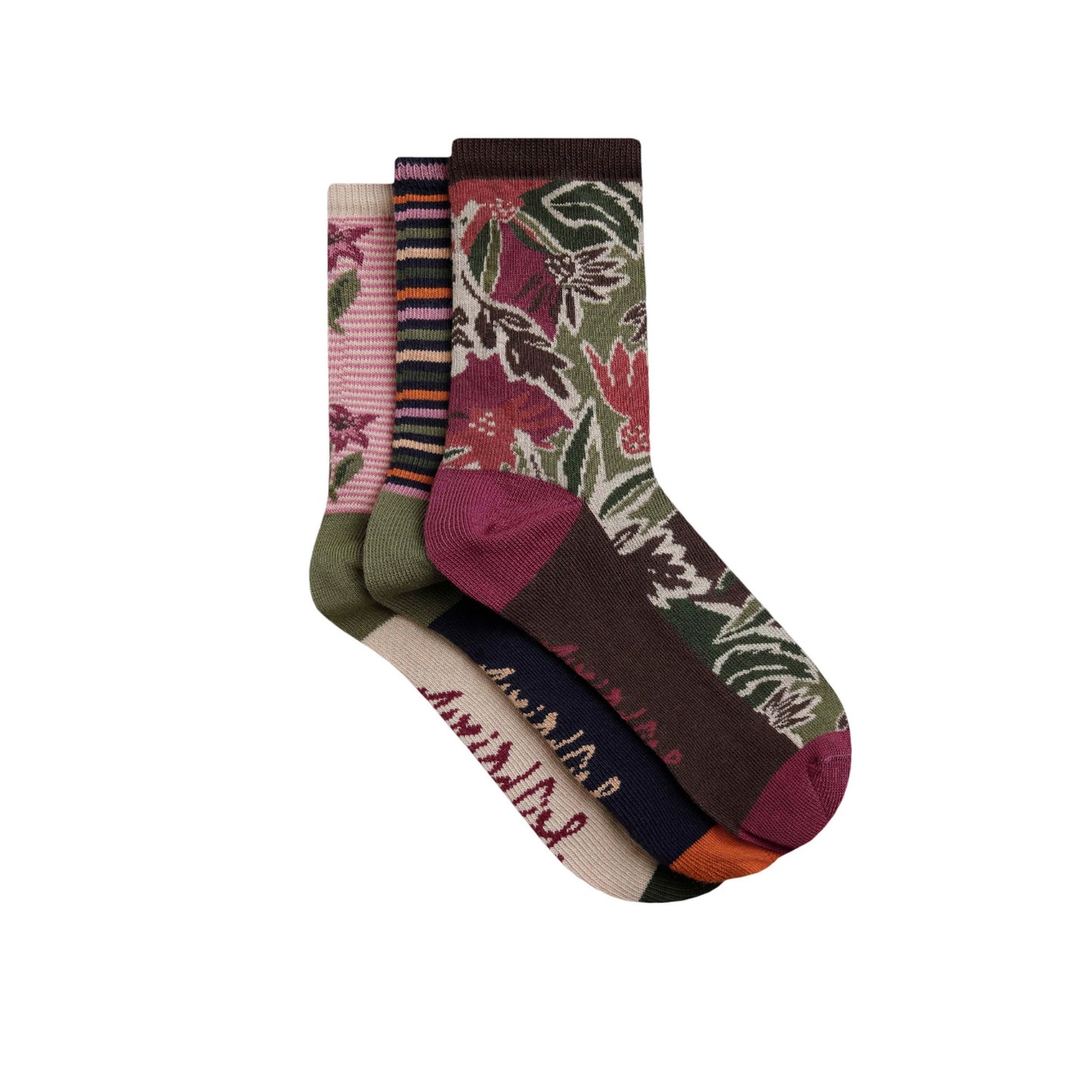 Chocolate - Front - Weird Fish Womens-Ladies Parade Patterned Socks (Pack of 3)