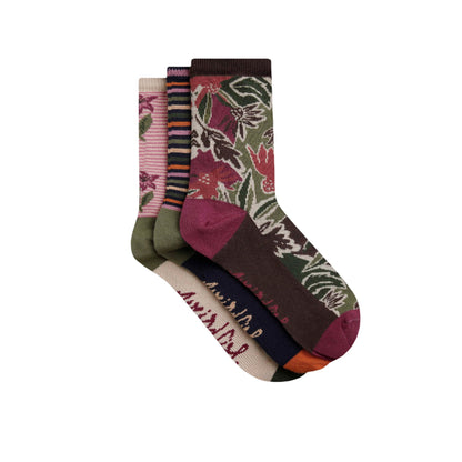 Chocolate - Front - Weird Fish Womens-Ladies Parade Patterned Socks (Pack of 3)