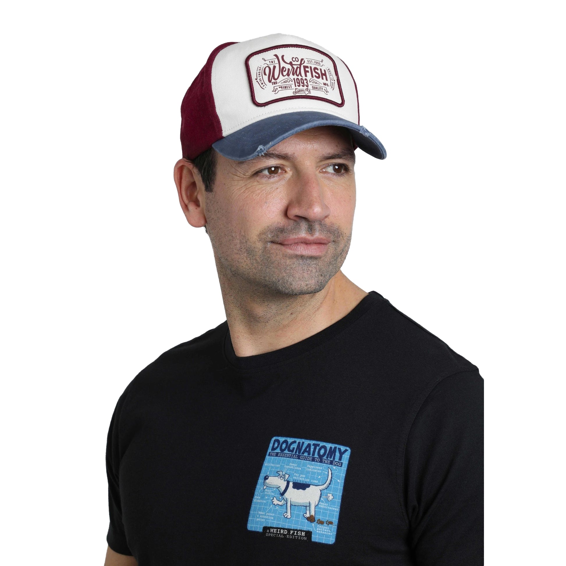 Navy - Lifestyle - Weird Fish Haywood Colour Block Baseball Cap