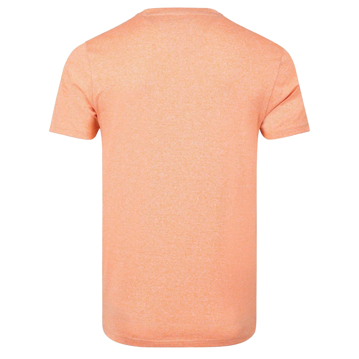 Pumpkin - Back - Weird Fish Mens Fished Branded T-Shirt
