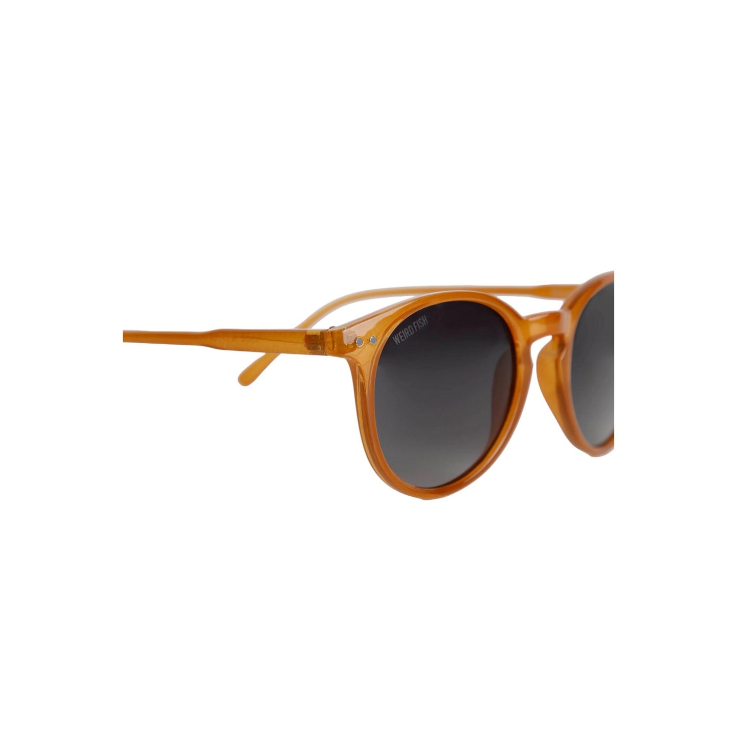 Mustard - Back - Weird Fish Unisex Adult Williams Round Sunglasses