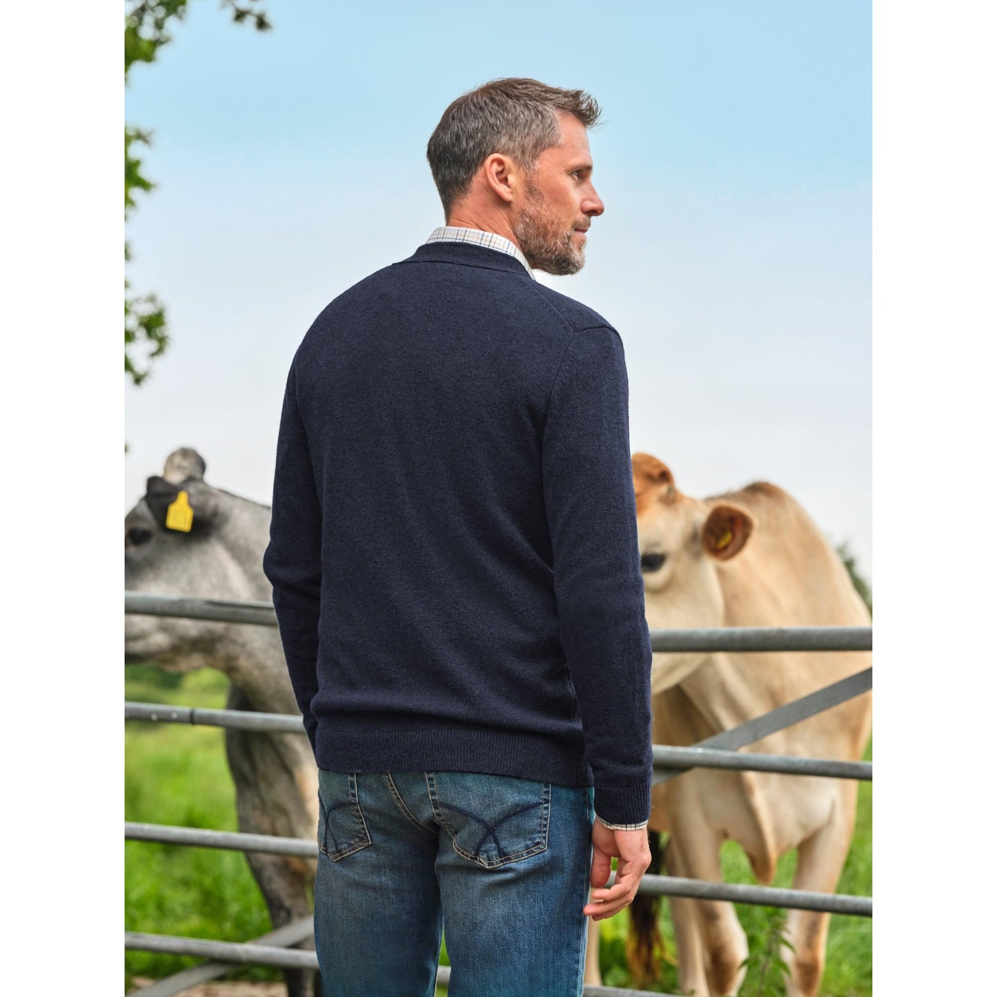 Navy - Back - WoolOvers Mens Lambswool V Neck Cardigan